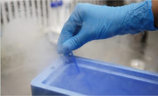 Embryofreezing Img