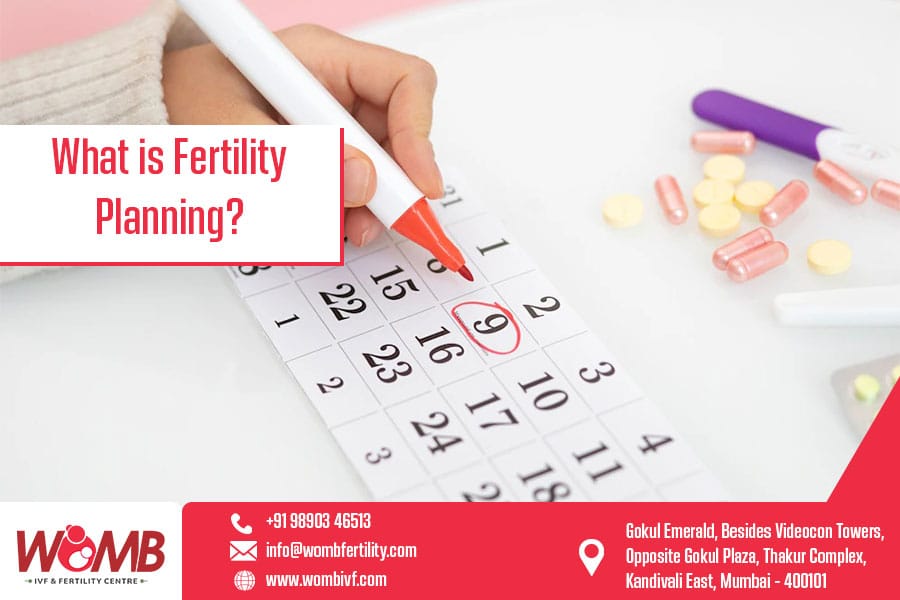 What Is Fertility Planning | Womb IVF