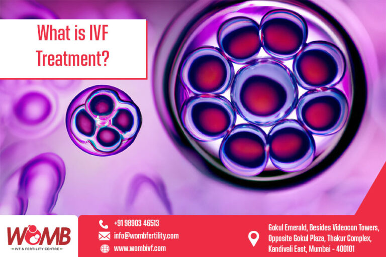 What Is Ivf Treatment | Womb Ivf