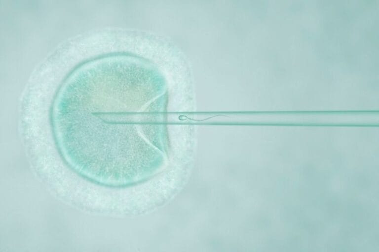 Separating Fiction From Reality Egg Freezing Myths And Facts