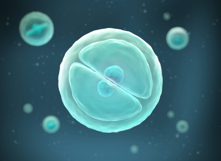 Ultimate Guide to Genetic Testing in IVF PGT‑A PGT‑M PGT‑S Explained