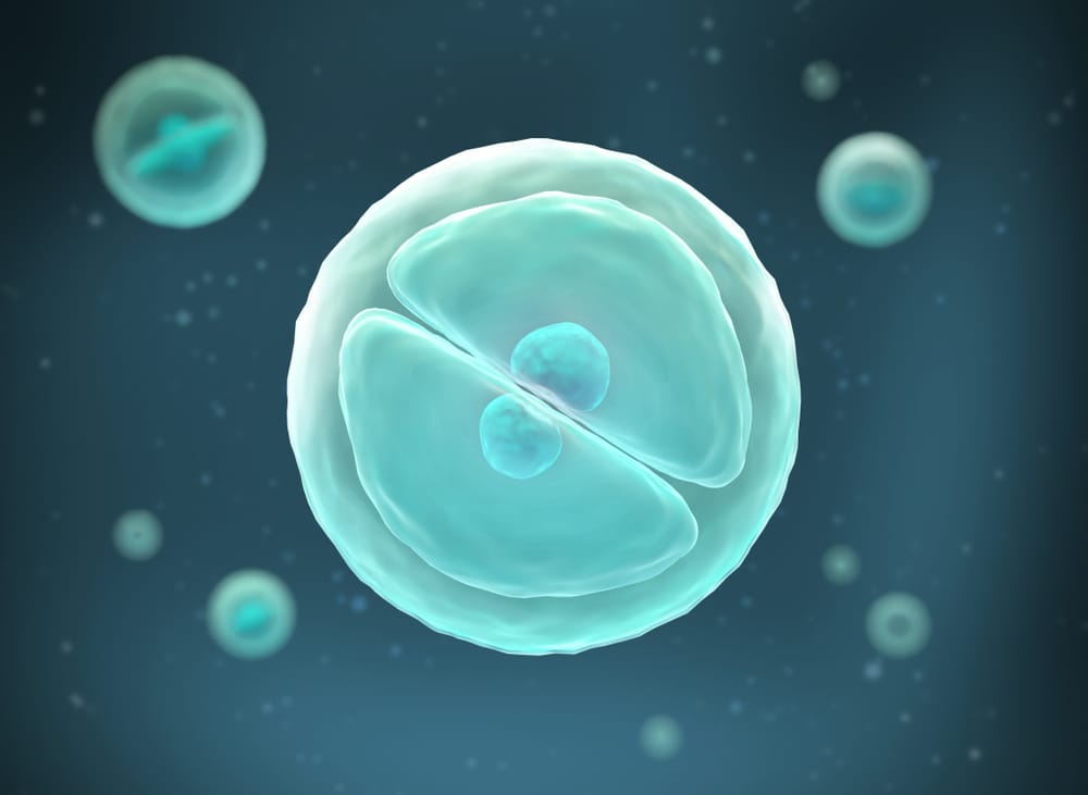 Ultimate Guide to Genetic Testing in IVF PGT‑A PGT‑M PGT‑S