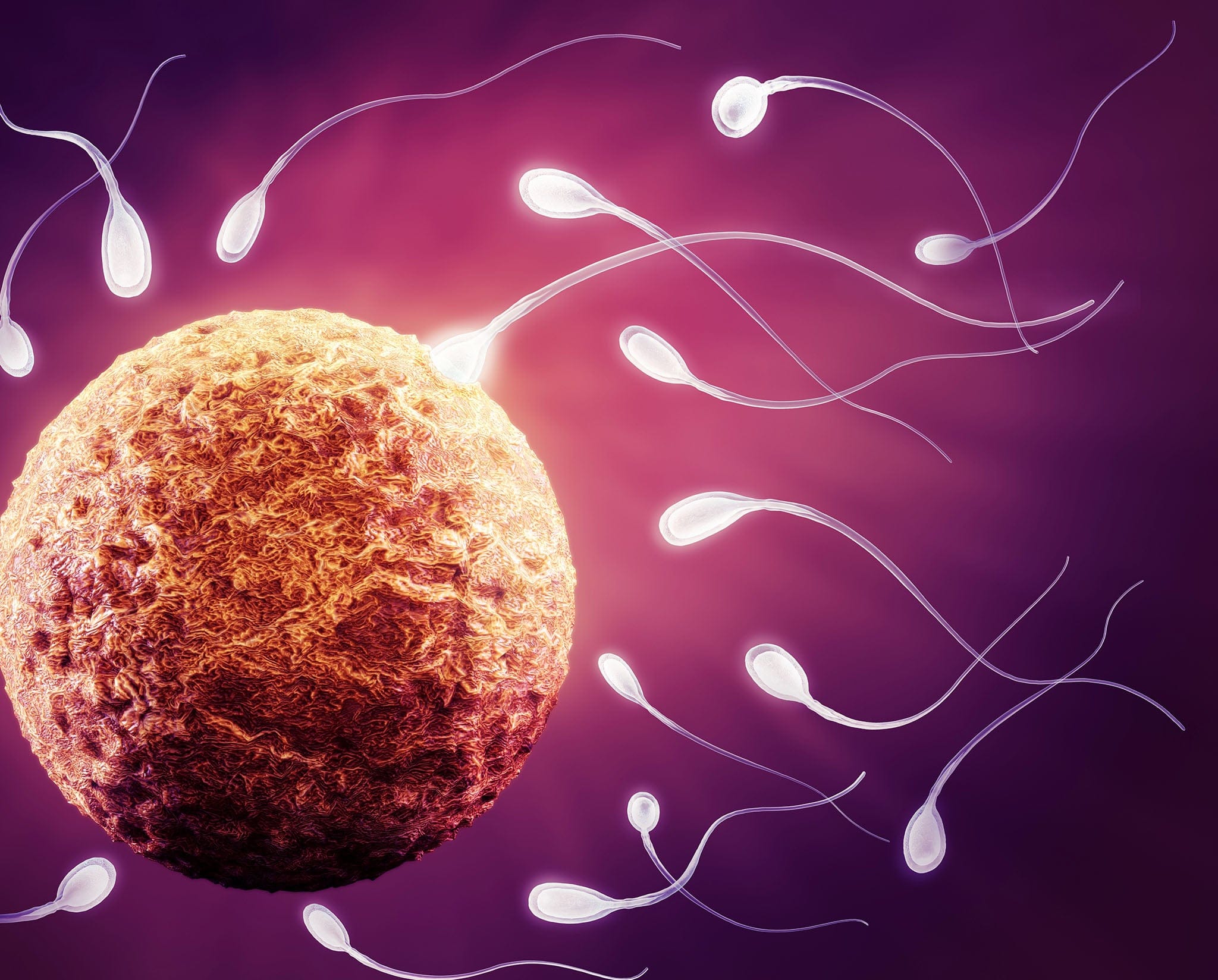 Effective Medical Solutions to Improve Egg Quality and Overcome Infertility